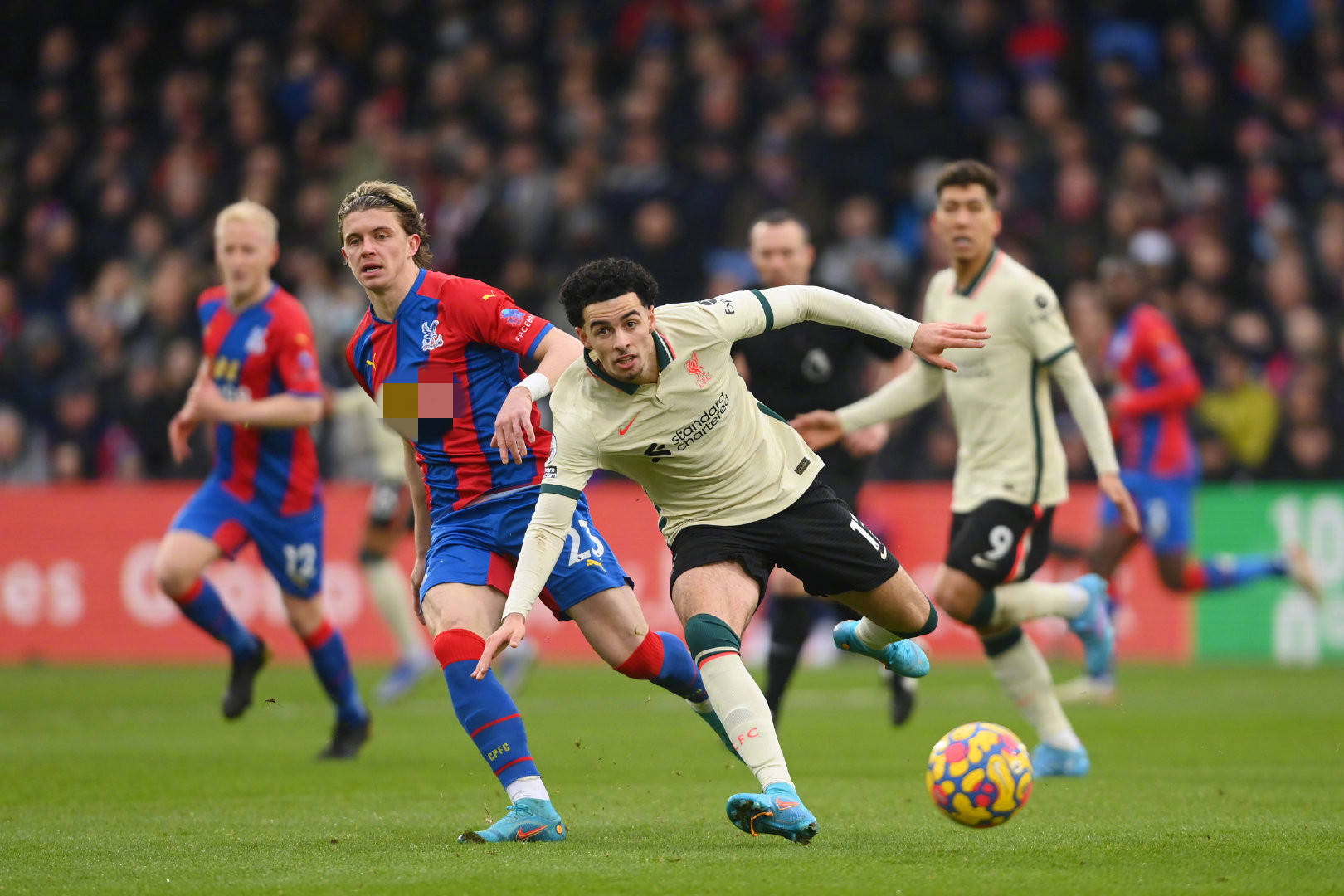 在迈阿密国 在迈阿密国